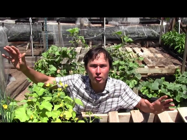 فیلم آموزشی: سبزیجاتی که می توانید در ماه جولای در باغ خود بکارید با زیرنویس فارسی