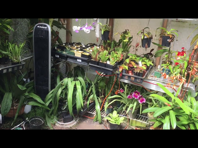فیلم آموزشی: چگونه گلخانه را در همه به جز گرمترین روزها خنک می کنم. با زیرنویس فارسی