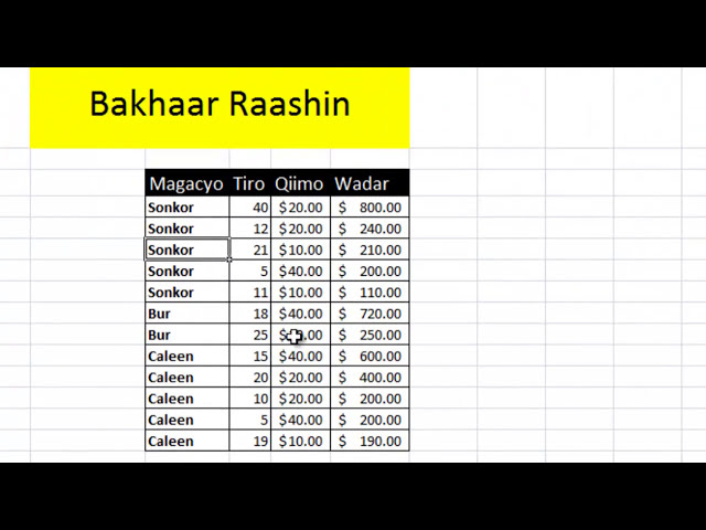 فیلم آموزشی: درس 11 Find and Replace - Microsoft Excel 2007 - Sahalsoftware