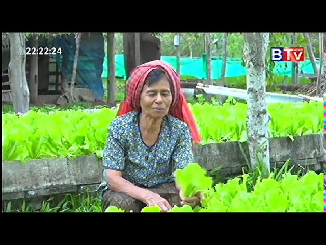 فیلم آموزشی: کاشت کاهو در فصل باران # سالاد # استان کامپونگ چنانگ