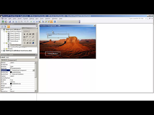 فیلم آموزشی: برنامه نویسی VBA برای Excel 2010 V4.15 - UserForm GUI - ویژگی تصویر برای پس زمینه با زیرنویس فارسی