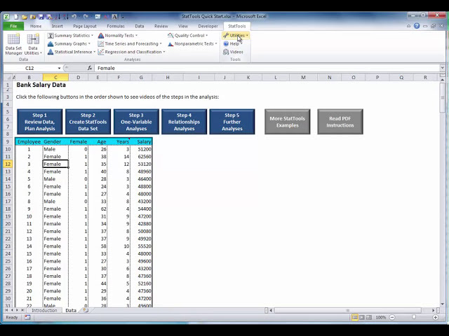 فیلم آموزشی: شروع سریع StatTools - مرحله 2: یک مجموعه داده StatTools ایجاد کنید با زیرنویس فارسی