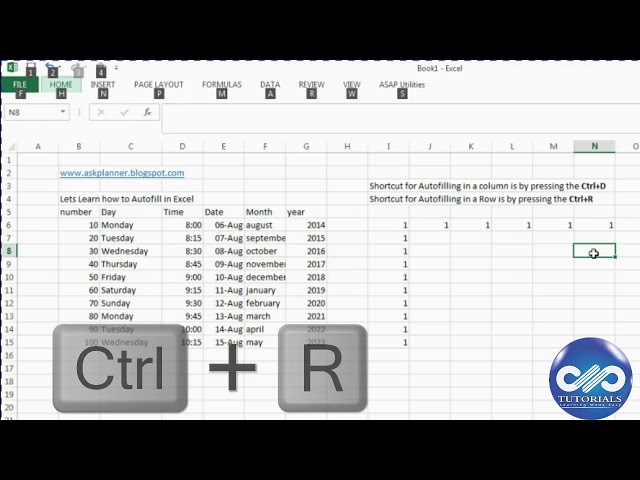 فیلم آموزشی: میانبر برای استفاده از تکمیل خودکار در Microsoft Excel 2013
