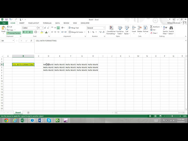 فیلم آموزشی: Excel For Noobs قسمت 47: نحوه استفاده از Format Painter در Excel 2016 آموزش اکسل 2013 با زیرنویس فارسی