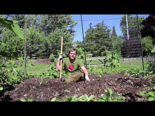 فیلم آموزشی: Down To Earth Fertilizer's Garden To Table: کاشت گوجه فرنگی با زیرنویس فارسی