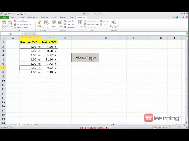 فیلم آموزشی: دمو lecb›ie Excel VBA - Despre Proceduri ب™i funcb›ii VBA با زیرنویس فارسی