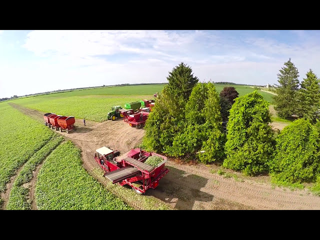 فیلم آموزشی: TVF Farms Cucumber Harvest 2015