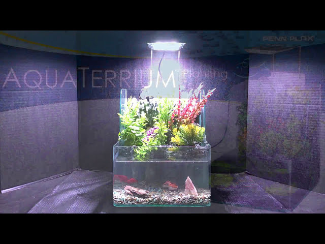 فیلم آموزشی: مخزن کاشت AquaTerrium از Penn-Plax! با زیرنویس فارسی