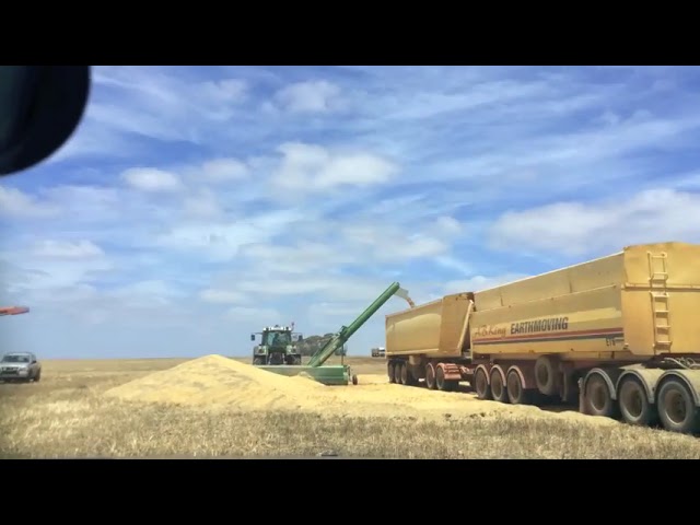 فیلم آموزشی: iPaddock Unstacker در حال تکمیل یک پشته ۷۰۰ تنی گندم است