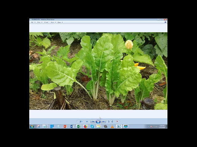 فیلم آموزشی: برنامه ریزی باغ خود با استفاده از MS Excel: قسمت 1 با زیرنویس فارسی