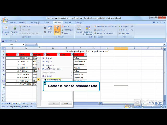 فیلم آموزشی: Comment filterr les donneجپes d'un tableau avec Excel 2007 ?