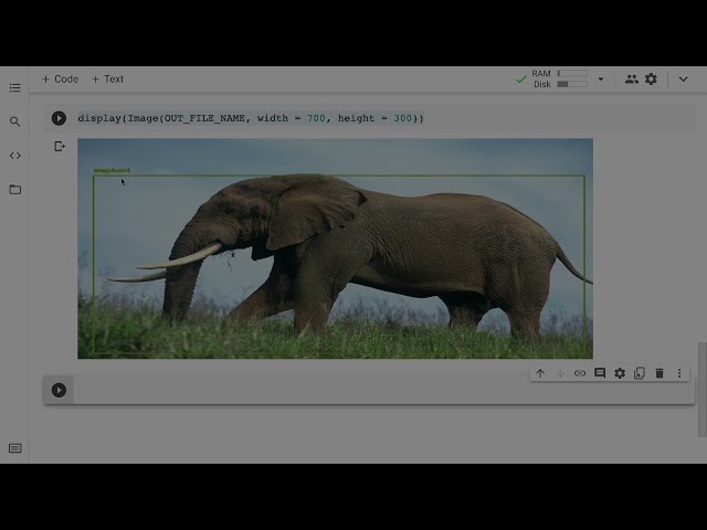 فیلم آموزشی: تشخیص شی YOLO با استفاده از Python، OpenCV و cvlib | کامپیوتر ویژن