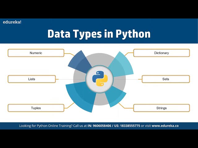 فیلم آموزشی: اصول پایتون | آموزش پایتون برای مبتدیان | آموزش پایتون | ادورکا | Python Rewind - 1 با زیرنویس فارسی