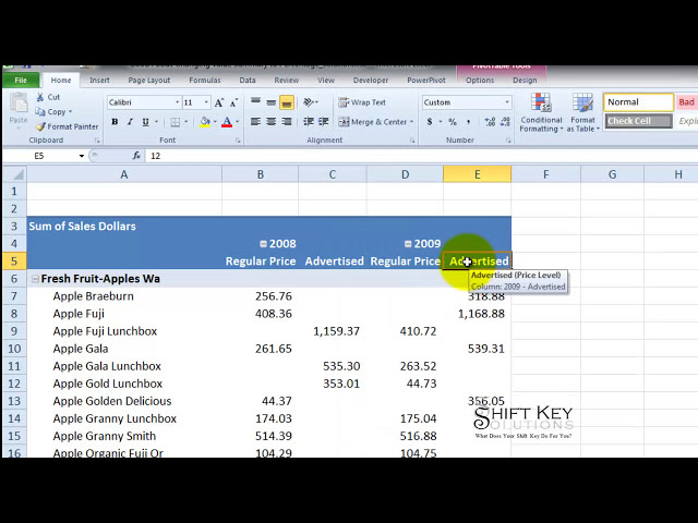 فیلم آموزشی: Excel 2010 Formating a PivotTable Report for Printing Exercise 7 part 5 با زیرنویس فارسی