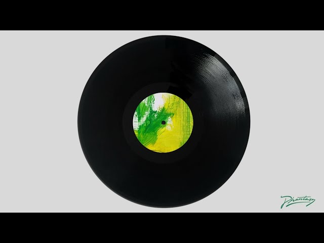 فیلم آموزشی: PYTKO - Save My Day (ریمیکس DJ Python 'Nice') [PH104] با زیرنویس فارسی