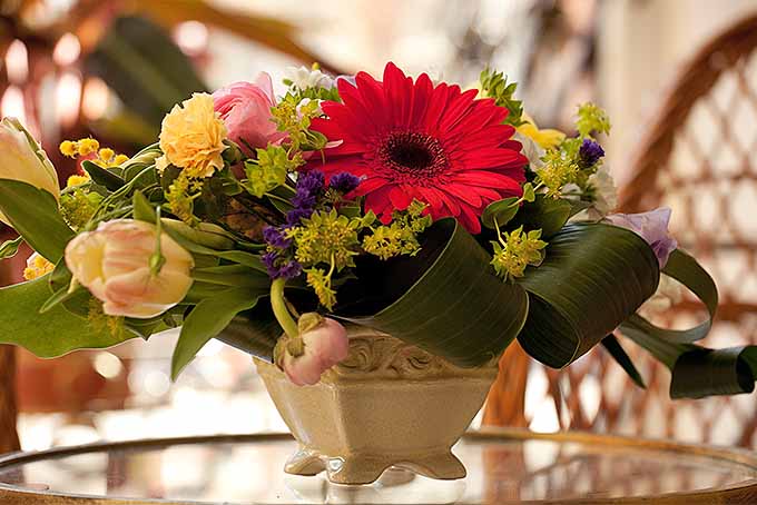 گل آرایی تازه با گل مروارید ژربری و گل های دیگر |  GardenersPath.com