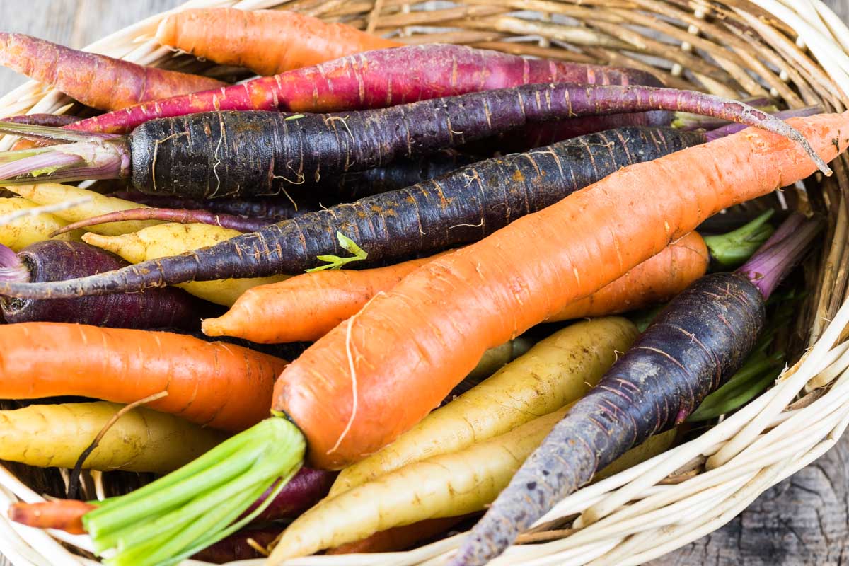 انواع و رنگ های مختلف هویج تازه در یک سبد حصیری.