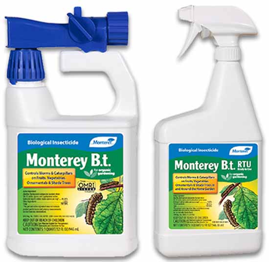 Monterey Bt Liquid روی پس زمینه سفید و ایزوله.