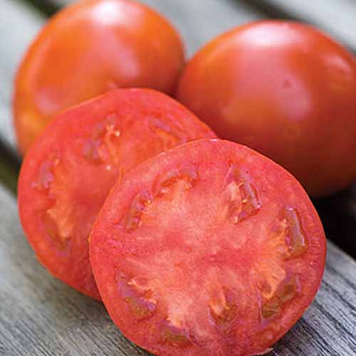 نمای نزدیک از انواع گوجه‌فرنگی «بی‌دانه شیرین»، به نصف بریده شده، با دو میوه کامل در پس‌زمینه، روی یک سطح چوبی.