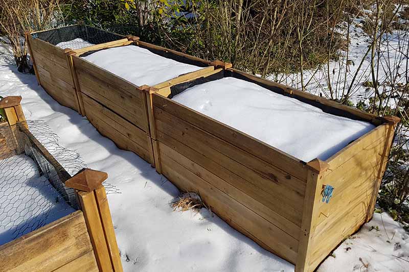 صحنه‌ای از باغ زمستانی با تخت‌خواب‌های بزرگ چوبی در باغ پوشیده از برف که در زیر نور آفتاب با بوته‌ها و بوته‌ها در پس‌زمینه تصویر شده است.