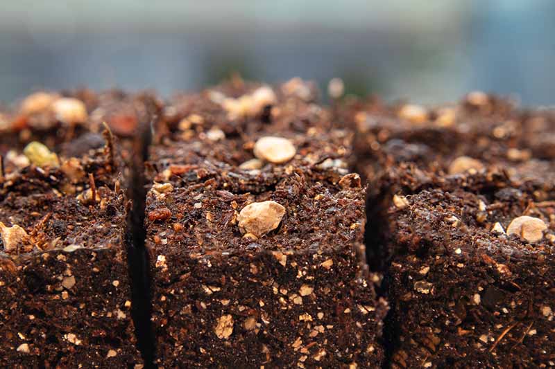 نمای نزدیک از دانه‌هایی که روی سطح خاک فشرده کاشته شده‌اند و در پس‌زمینه محو می‌شوند تا تمرکز نرمی داشته باشند.