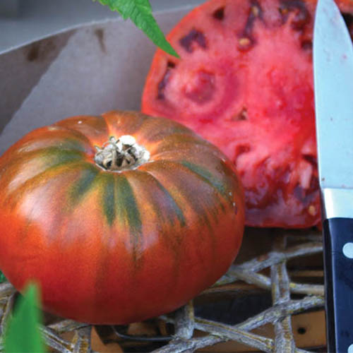نمای نزدیک از انواع گوجه‌فرنگی «کیهان‌نورد ولکوف» که تازه برداشت شده و از وسط نصف شده است.  در سمت راست قاب یک چاقو قرار دارد.