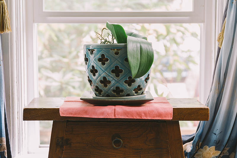 تصویری افقی از یک گلدان گیاهی سرامیکی آبی که روی یک کمد چوبی جلوی پنجره قرار گرفته است.