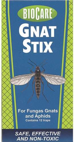 تصویر عمودی نزدیک از بسته بندی تله حشرات BioCare Gnat Stix برای گیاهان داخلی.