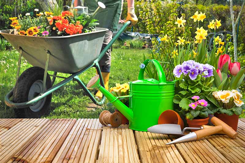 تصویری افقی از باغبان و چرخ دستی پر از گل های رنگارنگ آماده برای کاشت.  در سمت راست قاب یک قوطی آبیاری سبز رنگ، ابزار باغبانی و گیاهان گلدانی روی یک عرشه چوبی قرار دارد.