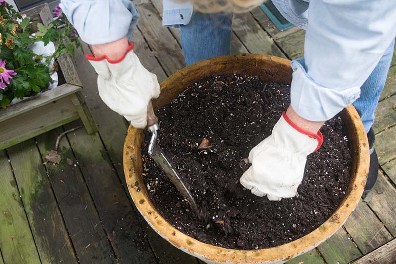 تصویر افقی نزدیک از یک باغبان با دستکش‌های سفید در حال آماده‌سازی گلدان تراکوتا برای کاشت.