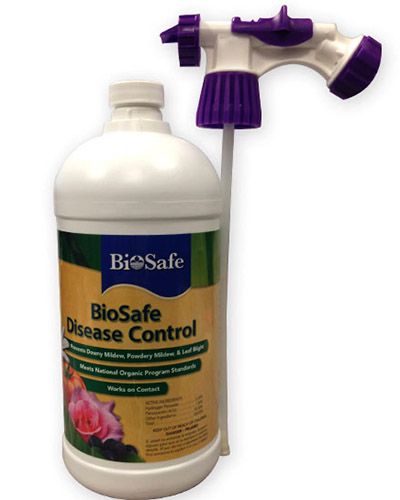نمای نزدیک از بسته بندی BioSafe Disease Control آماده برای اسپری کردن بطری روی زمینه سفید.
