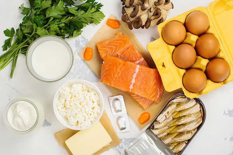 تصویری افقی از بالا به پایین از غذاهای مختلف، ماهی قزل آلا، تخم مرغ، شیر، پنیر، گیاهان و قارچ‌ها که روی یک سطح سفید قرار گرفته‌اند.
