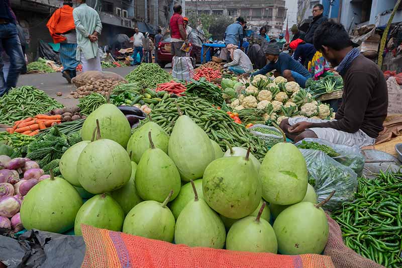 تصویری افقی از بازار فروش انواع میوه و سبزیجات در خیابانی شلوغ.