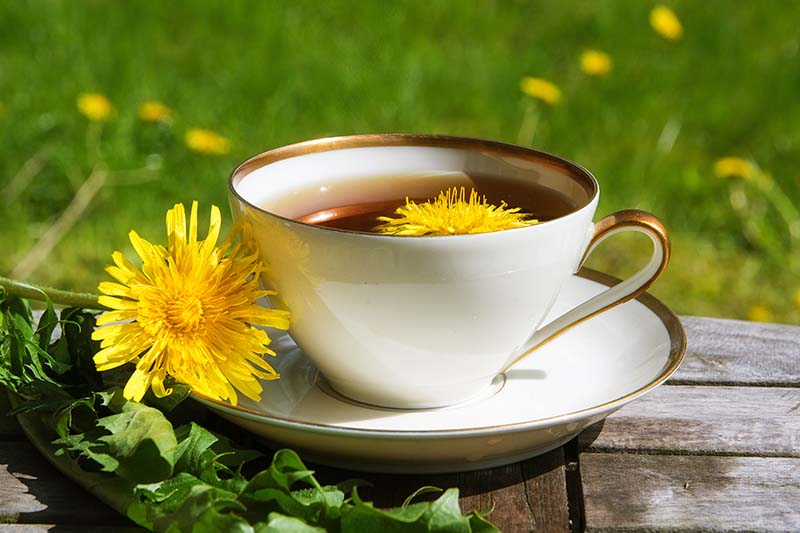 تصویر افقی نزدیک از یک فنجان چای قاصدک روی یک سطح چوبی با یک گل تازه روی نعلبکی، روی پس‌زمینه فوکوس ملایم.