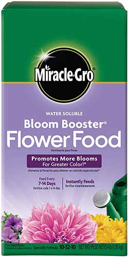 تصویر عمودی نزدیک از بسته بندی غذای گل تقویتی Miracle-Gro Bloom.