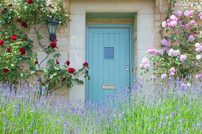 تصویری افقی از درب ورودی آبی اردکی روی خانه‌ای سنگی که در کنار آن گل‌های رز بالا رفته و گل‌های بنفش در پیش‌زمینه قرار دارد.