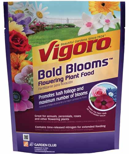 تصویر مربع نزدیک از بسته بندی غذای گیاهی گلدار Vigoro Bold Blooms جدا شده روی پس زمینه سفید.