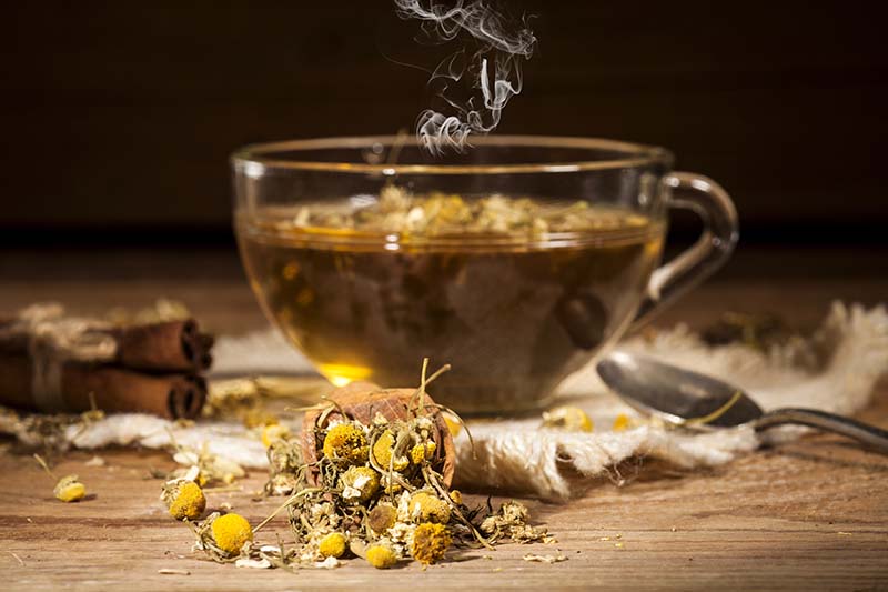 تصویر افقی نزدیک از یک لیوان آرامش بخش از چای بابونه با گل و گیاهان خشک پراکنده در اطراف روی یک سطح چوبی.