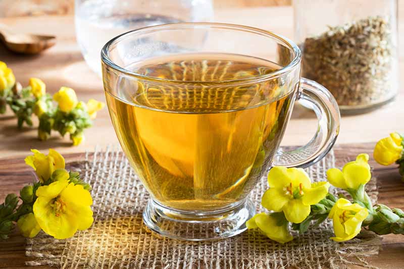 تصویر افقی نزدیک از یک لیوان چای قاچ با گل‌های زرد کوچک پراکنده در اطراف.