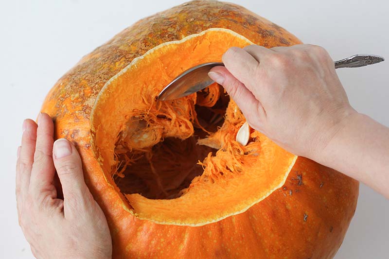 تصویر افقی نزدیک از دو دست با استفاده از یک قاشق فلزی برای بیرون آوردن گوشت از کدو تنبل نارنجی.