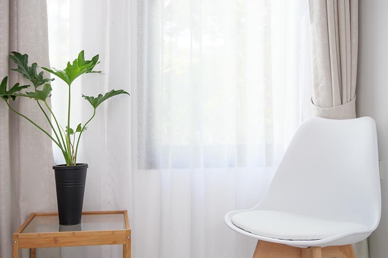 تصویر افقی نزدیک از یک صندلی سفید که در نزدیکی یک پنجره قرار دارد با یک درخت کوچک فیلودندرون که در یک گلدان سیاه روی میز شیشه‌ای رشد می‌کند.