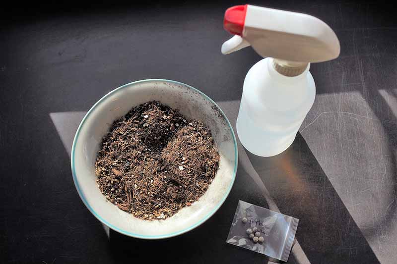 تصویر افقی نزدیک از یک کاسه کوچک خاک، یک بطری اسپری، و یک بسته دانه که روی سطح خاکستری قرار گرفته است.