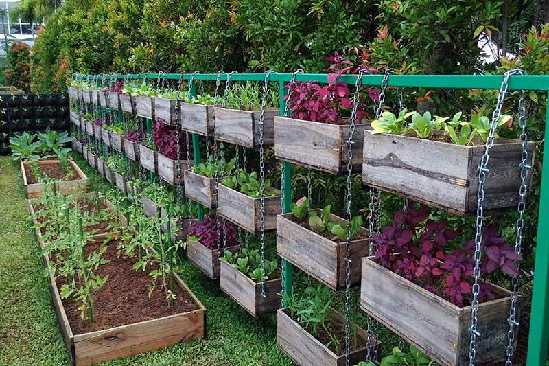 تصویری افقی از یک باغ عمودی با انواع سبزیجات مختلف که در جعبه‌های چوبی روی هم قرار گرفته‌اند.