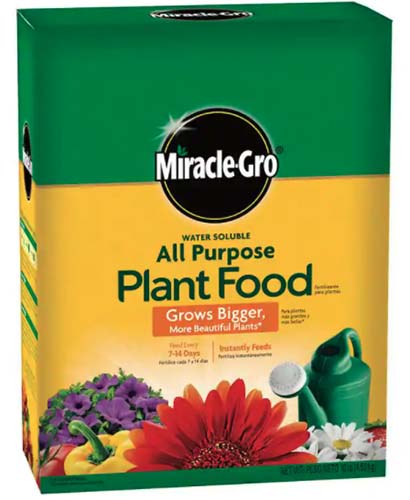 تصویر مربع نزدیک از جعبه غذای گیاهی همه منظوره Miracle-Gro جدا شده روی پس‌زمینه سفید.