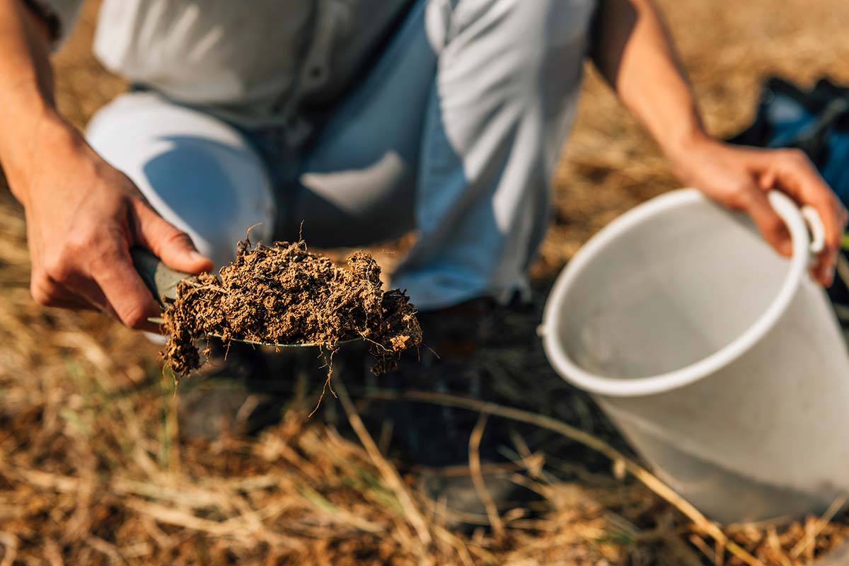 تصویری نزدیک از یک باغبان که از یک ماله کوچک برای برداشتن نمونه‌ای از خاک استفاده می‌کند تا در یک سطل سفید برای آزمایش قرار دهد.