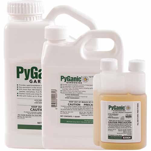 تصویر مربع نزدیک از سه بطری حشره کش PyGanic Gardening جدا شده در پس زمینه سفید.