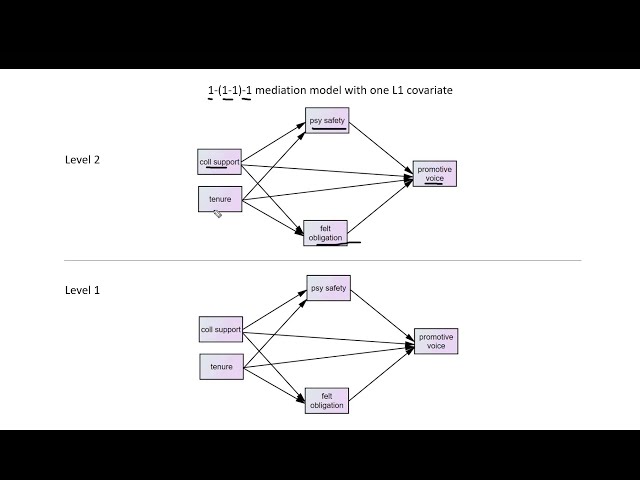 فیلم آموزشی: میانجیگری چند سطحی در SPSS (ویدئو 1): آزمایش مدل های 1-1-1 با استفاده از ماکرو MLmed Rockwood's با زیرنویس فارسی