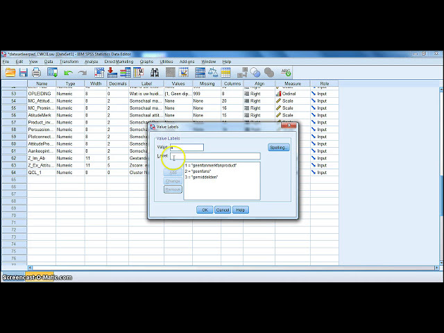 فیلم آموزشی: SPSS: K-means clusteranalyse